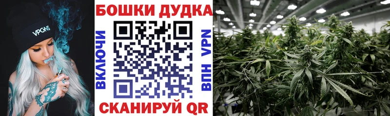 Купить  Кольчугино  Канабис AK-47 